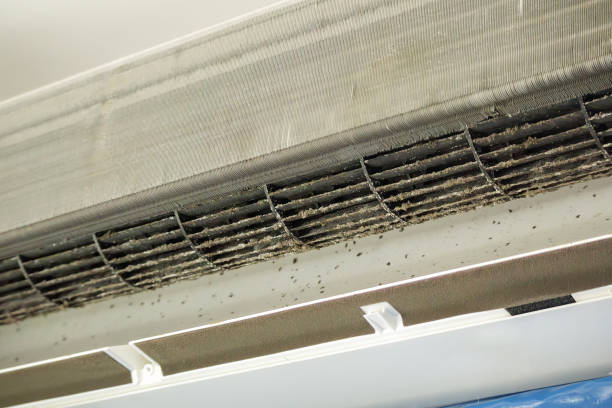 Best Air Duct Sanitizing Services  in Gervais, OR