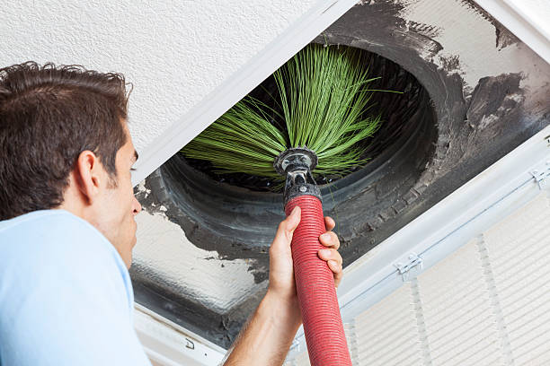 Best Local Air Duct Cleaning Services  in Gervais, OR